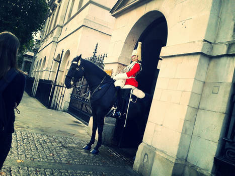 The royal horseguards