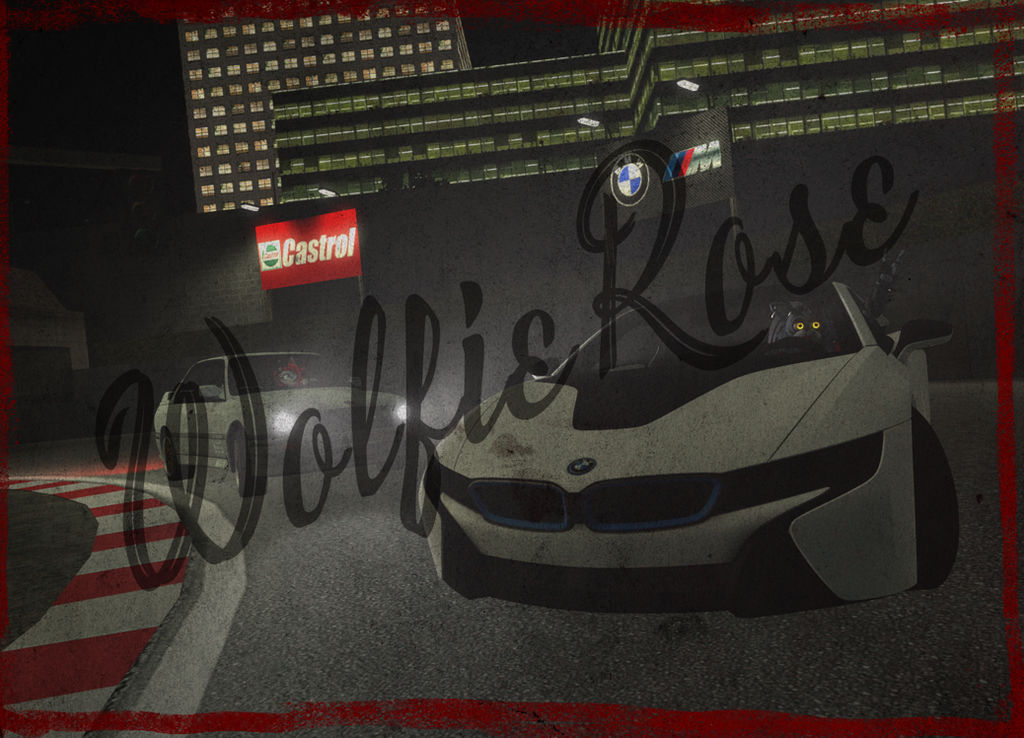 Roxy's Race by W0lfieR0se on DeviantArt