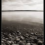 Stones on the springtime shore