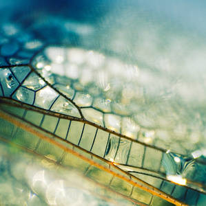 Stained glass...