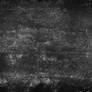 Texture 3B