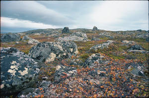 110912 - Norway - by the road FV355