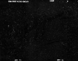 Delta 3200 - 120 film - very dusty
