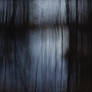 Melancholia
