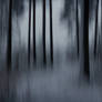 In the pines, in the pines