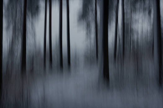 카지노사이트주소