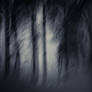 Sweet darkness
