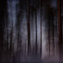When the day and the night meet