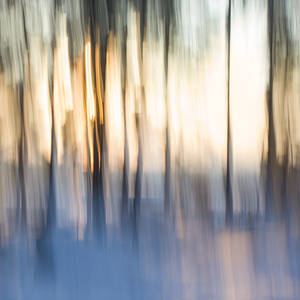Lights and lightness