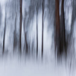 Abstraction is delivrance