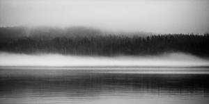 Morning fog - foggy head