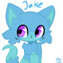 Redesign of Jake