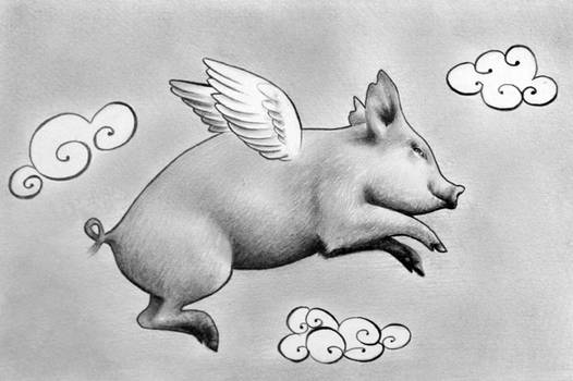 Ignatius the Flying Pig