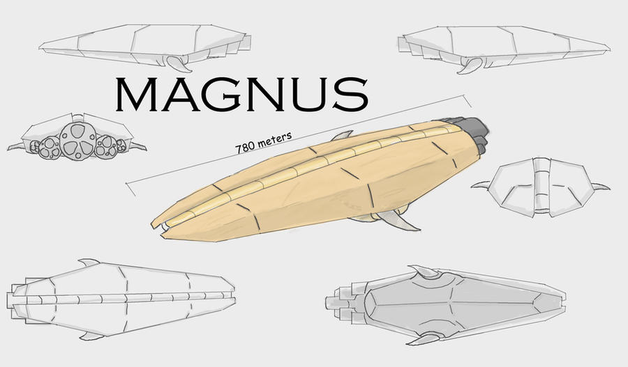 Magnus spaceship