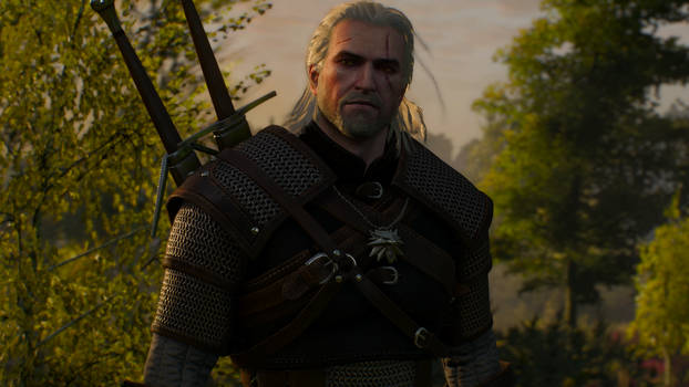 Witcher sense