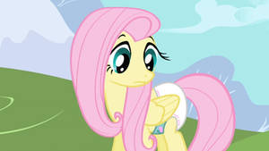 FlutterDiaper