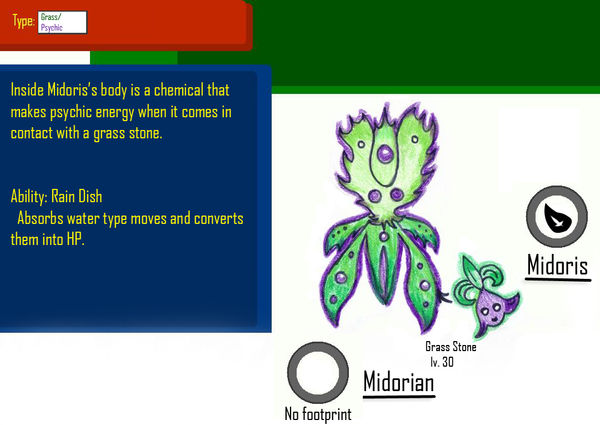 Midoris and Midorian by PokemonForager on DeviantArt