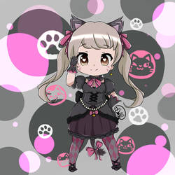 Black Cat Dva