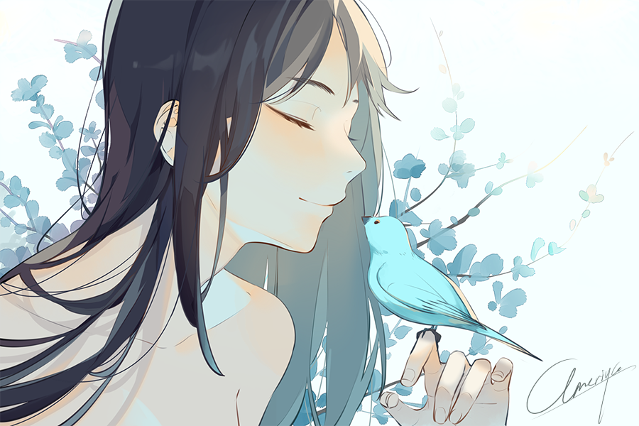 Blue Bird by ameriya on DeviantArt Blue Bird by ameriya on DeviantArt
