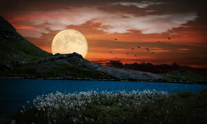 Somewhere out there ...