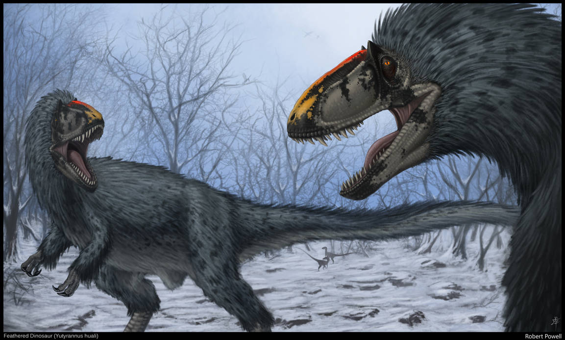 Yutyrannus huali by rob-powell