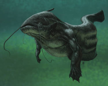 Wels Catfish Mermaid