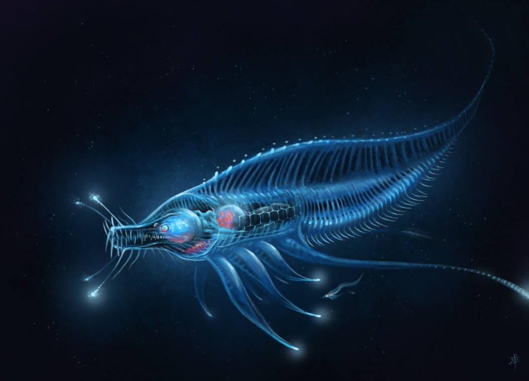 Deepsea Glowing Blue Creature by rob-powell on DeviantArt