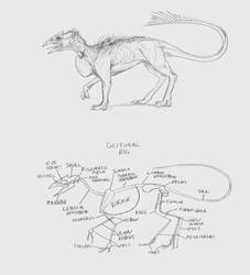 Rostrodon Surface Anatomy and Gestural Rig