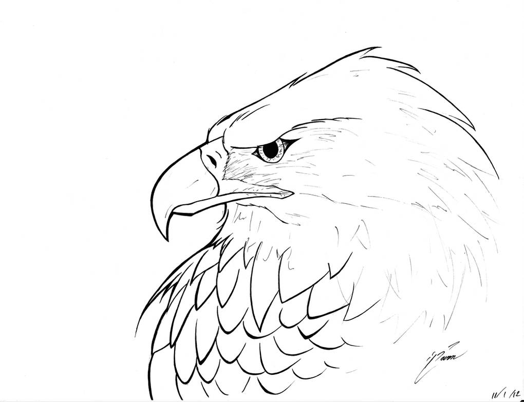Рисунок орла. Орел карандашом. Нарисовать орла карандашом. Голова орла карандашом. Орёл для срисовки.