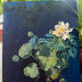 Lotus in the morning sun (2025)