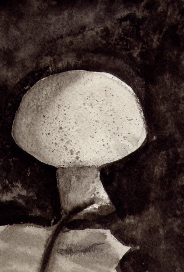 Mushroom