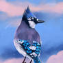 Blue Jay