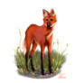 Maned Wolf