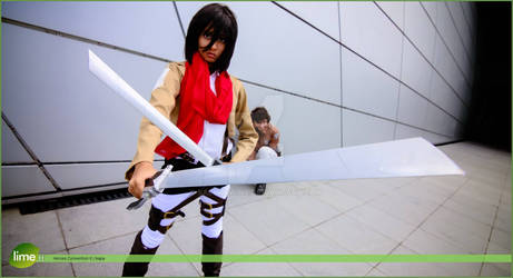 Mikasa Cosplay