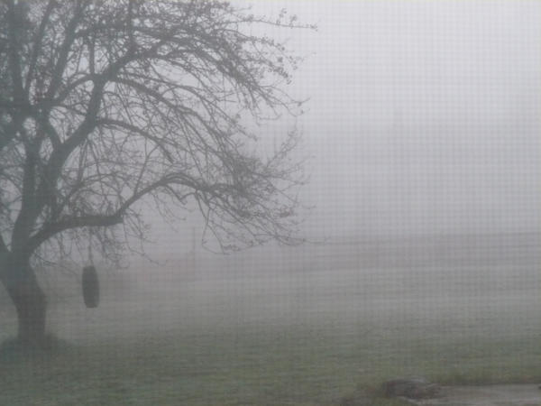 Ominous Fog by kristen140160 on DeviantArt