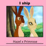 I Ship Hazel x Primrose