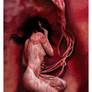 Womb