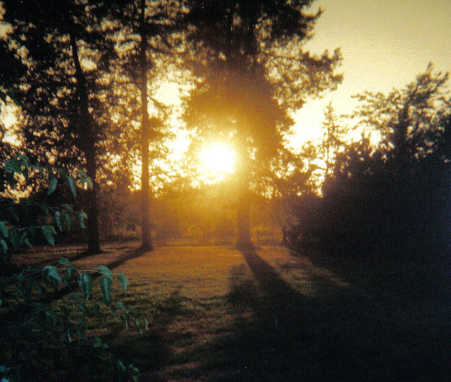 Sunset Shadow Protection Sunset Shadows by Mathas on DeviantArt