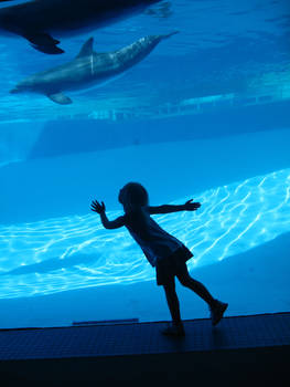 Child with dolphin