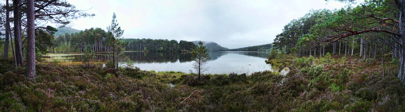 Lake panorama