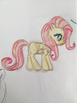 Fluttershy 