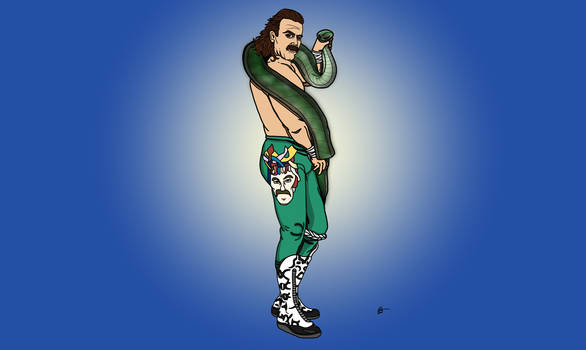 Jake the Snake - WWE Superstars - Series 2