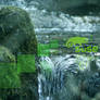 SuSE Linux Green Wallpaper