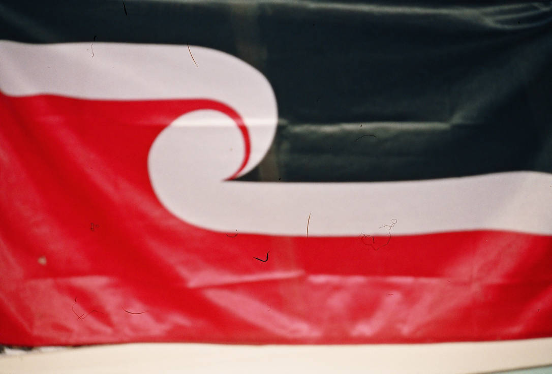 Tino Rangatiratanga by blackpurpleredpink on DeviantArt