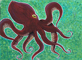 Octopus