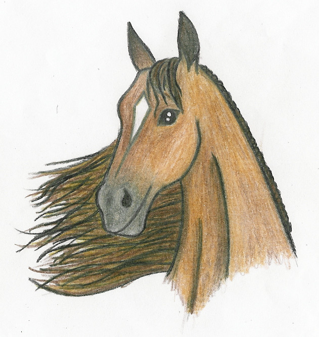 Chestnut Horse