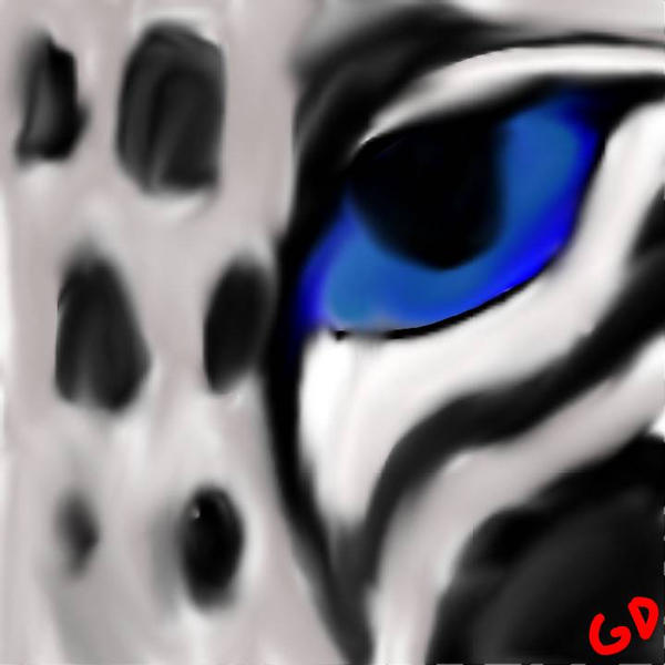Snow Leopard Eye by TMNTWarrior on DeviantArt