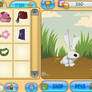 Animal Jam Account