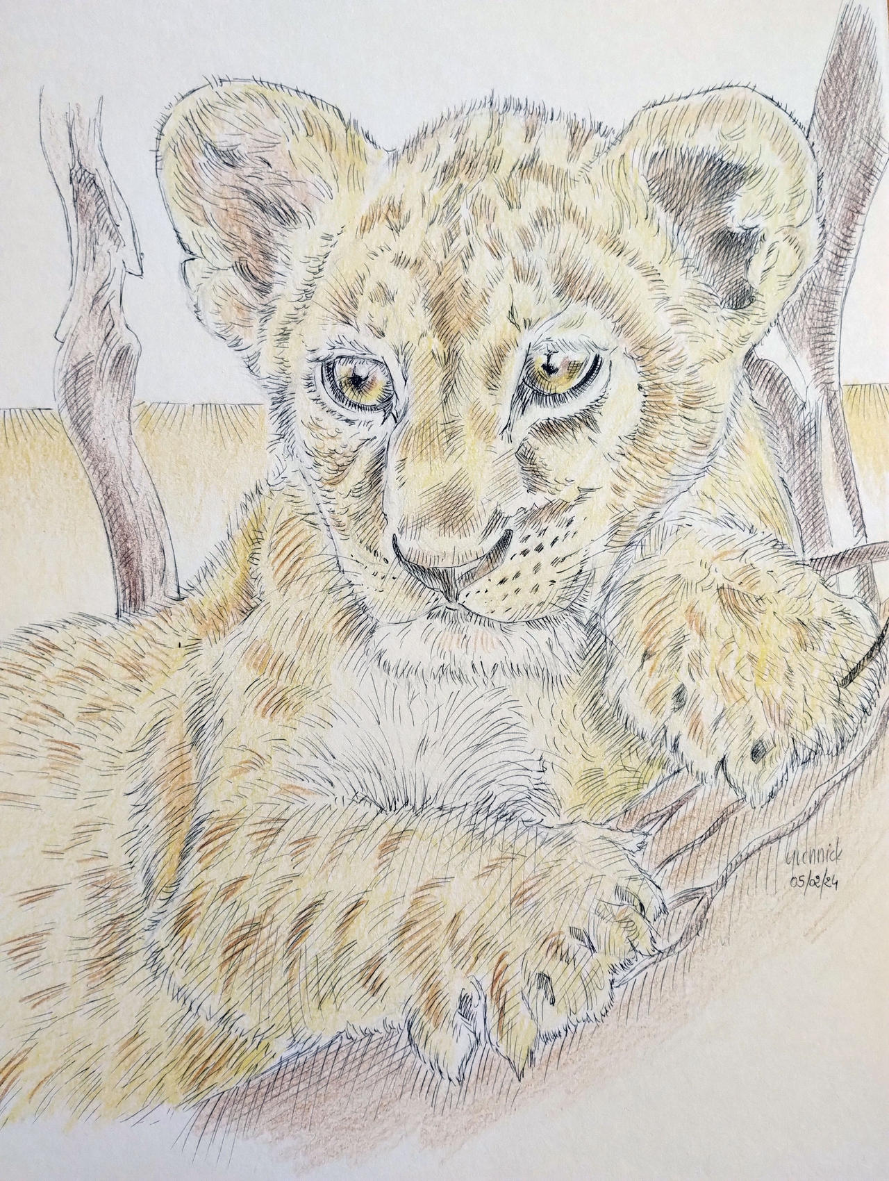 Cub by yvonnick on DeviantArt