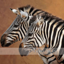 Savana Stripes